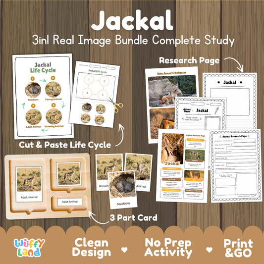 Jackal 3-in-1 real image bundle complete study cover showing cut and paste life cycle, 3 part cards, and research pages