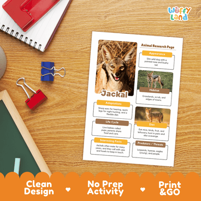 A printed animal research page about a jackal, styled on a wooden desk with notebooks, binder clips, and a chalkboard. The page includes a jackal photo and labeled sections.