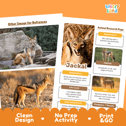 A printed educational poster or activity sheet about a jackal, shown as a mockup with an orange header and footer. The sheet includes a title reading 'Other Image for References,' a large jackal photo, an animal research page layout with labeled sections, and promotional text along the bottom reading 'Clean Design,' 'No Prep Activity,' and 'Print & GO.
