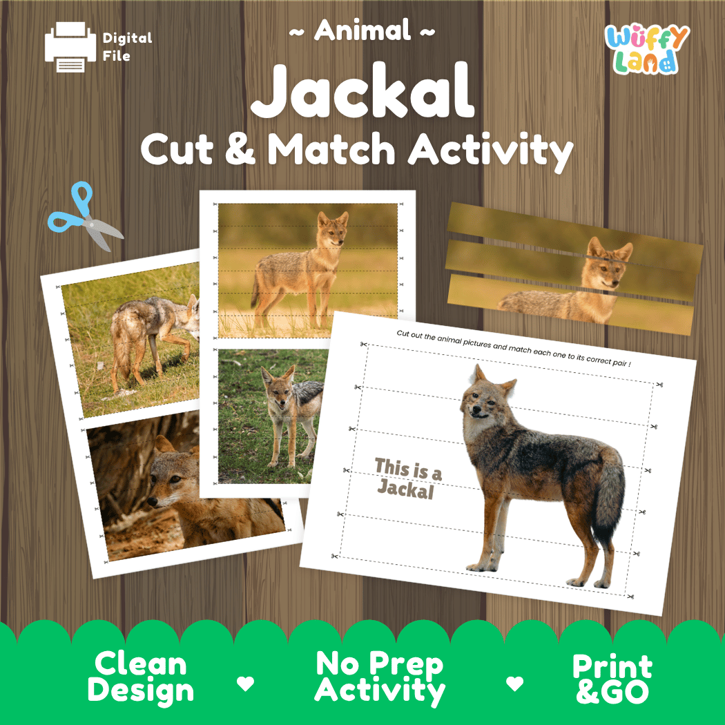 Jackal Cut and Match Activity Worksheets | Safari Animal Puzzle Printables