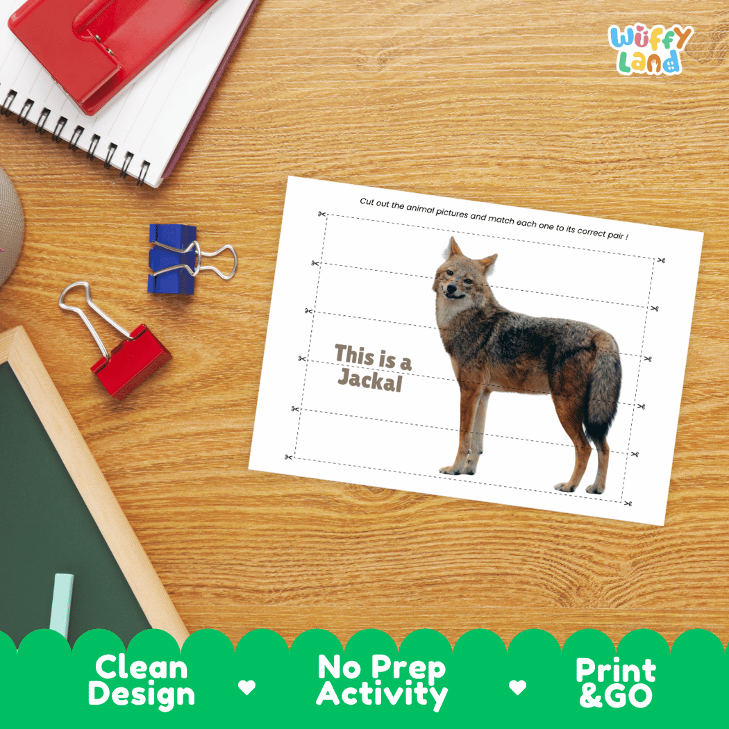 Jackal Cut and Match Activity Worksheets | Safari Animal Puzzle Printables