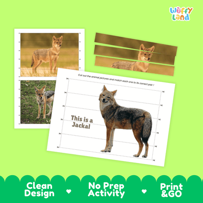 Jackal Cut and Match Activity Worksheets | Safari Animal Puzzle Printables