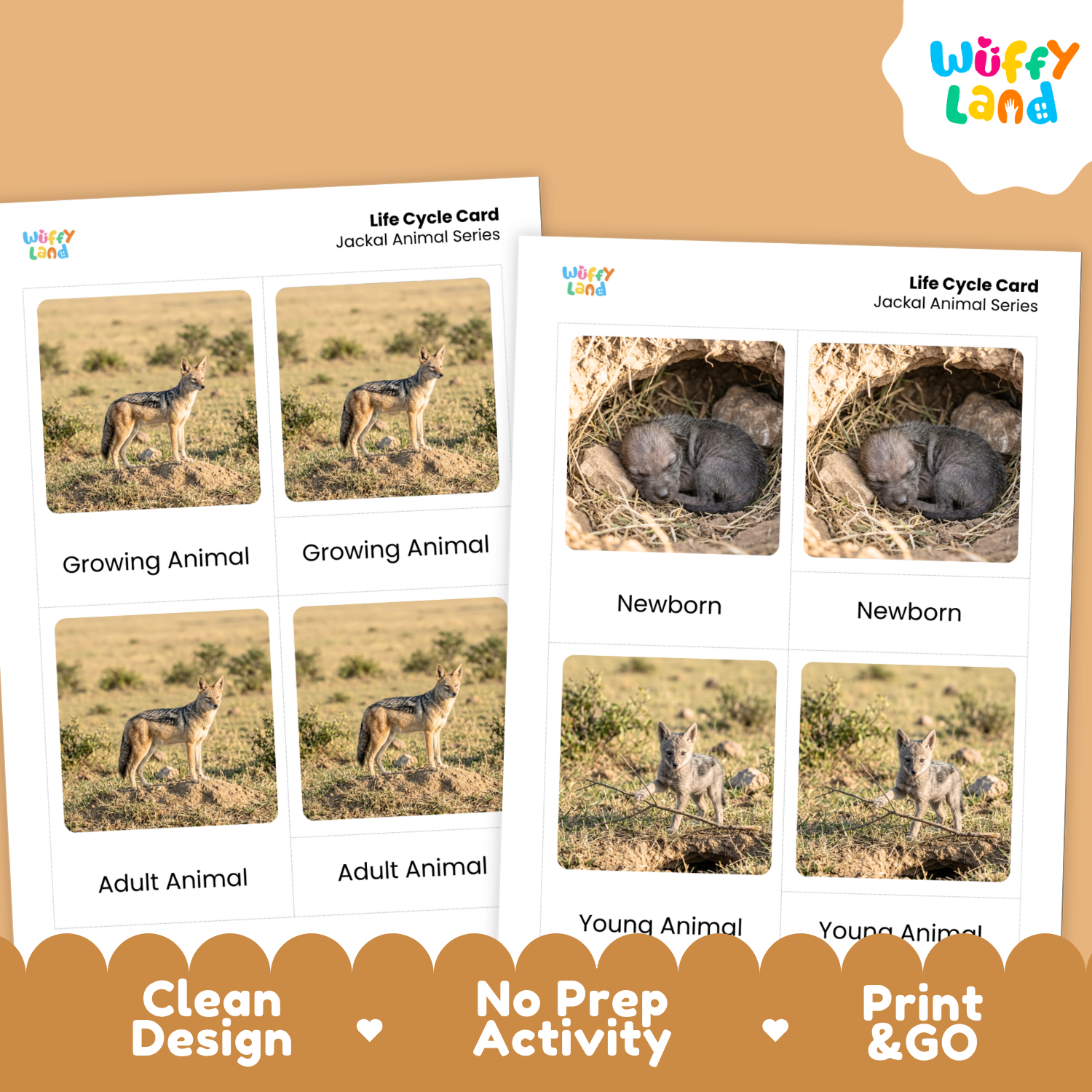 Two printable activity cards for a wolf life cycle series on a tan background. The cards show labeled photos of a wolf in different stages: Growing Animal, Newborn, Adult Animal, and Young Animal.