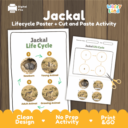 Jackal Life Cycle Poster and Cut and Paste Activity Worksheets