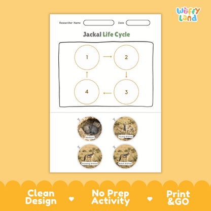 Jackal Life Cycle Poster and Cut and Paste Activity Worksheets