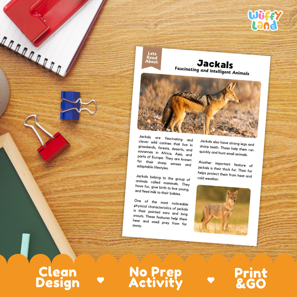 An educational printout about jackals, styled on a wooden desk with school supplies. The printout features text and photos of a jackal.