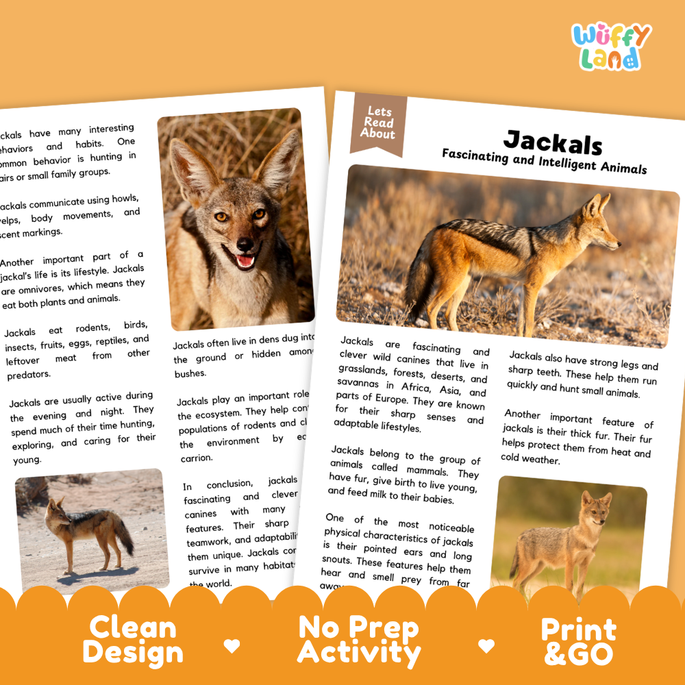 Educational activity sheets about jackals from the 'Let's Read About' series, featuring a color photo of a jackal family, a labeled animal fact box, and a short text summary, presented on a white background with an orange decorative border.