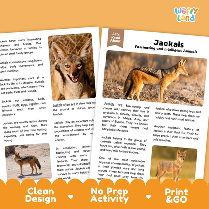 Educational activity sheets about jackals from the 'Let's Read About' series, featuring a color photo of a jackal family, a labeled animal fact box, and a short text summary, presented on a white background with an orange decorative border.
