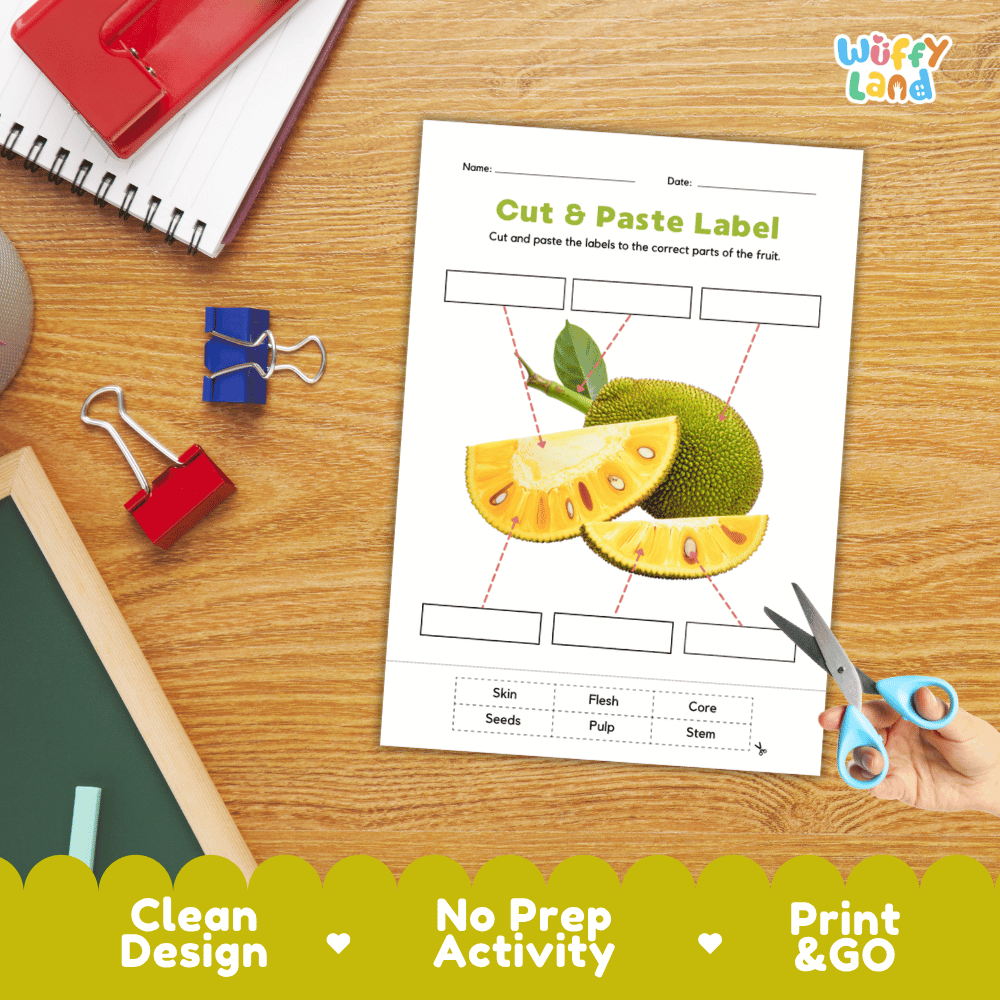 Differentiated jackfruit labeling worksheets featuring write-in callout boxes and vocabulary word bank