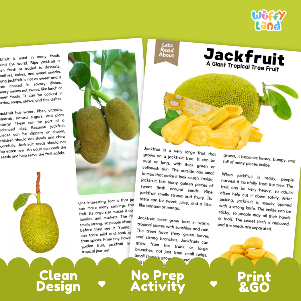 Teacher answer key page showing complete question solutions for Jackfruit nature and science reading comprehension practice