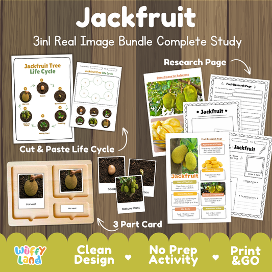 Jackfruit tree 3-in-1 real image bundle complete study cover showing cut and paste life cycle, 3 part cards, and research pages
