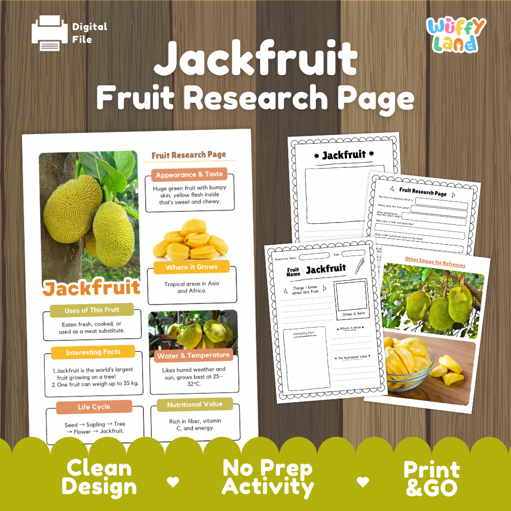 A digital printable educational activity sheet set titled 'Jackfruit Fruit Research Page' by Wiffly Land, shown on a wood-textured background. The layout includes a main research page with colorful jackfruit photos and text blocks, plus several worksheet pages.