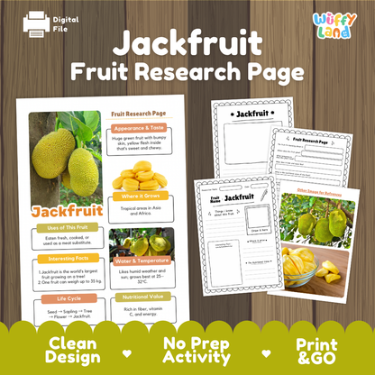 A digital printable educational activity sheet set titled 'Jackfruit Fruit Research Page' by Wiffly Land, shown on a wood-textured background. The layout includes a main research page with colorful jackfruit photos and text blocks, plus several worksheet pages.