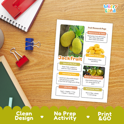 A printed Jackfruit Fruit Research Page activity sheet displayed on a wooden desk with school supplies. The sheet features colorful text sections, a photo of two jackfruits, and educational facts.