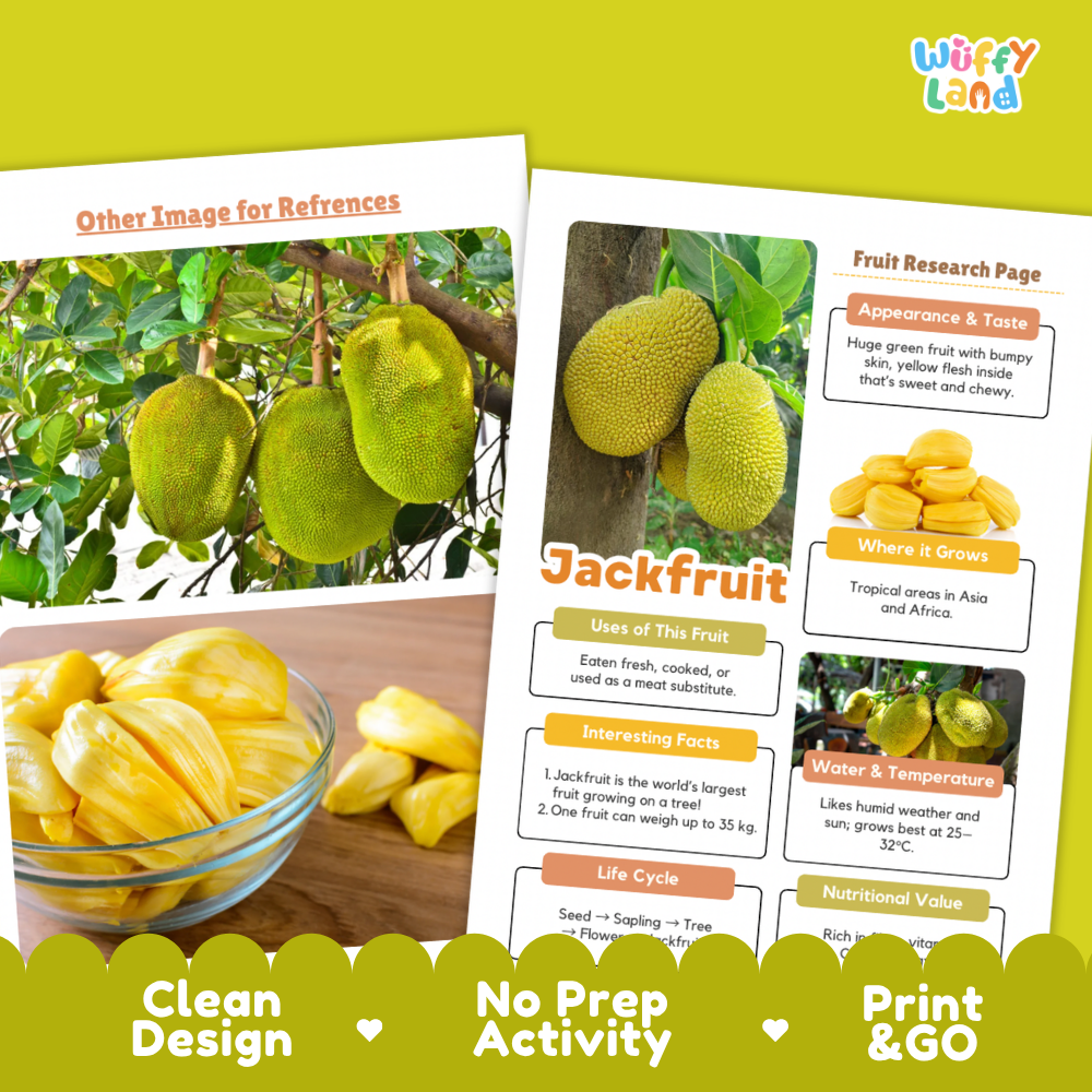 A printed educational poster about jackfruit displayed on a bright yellow background. The poster includes a fruit research page layout with photos of jackfruit hanging on a tree and sliced jackfruit in a bowl.