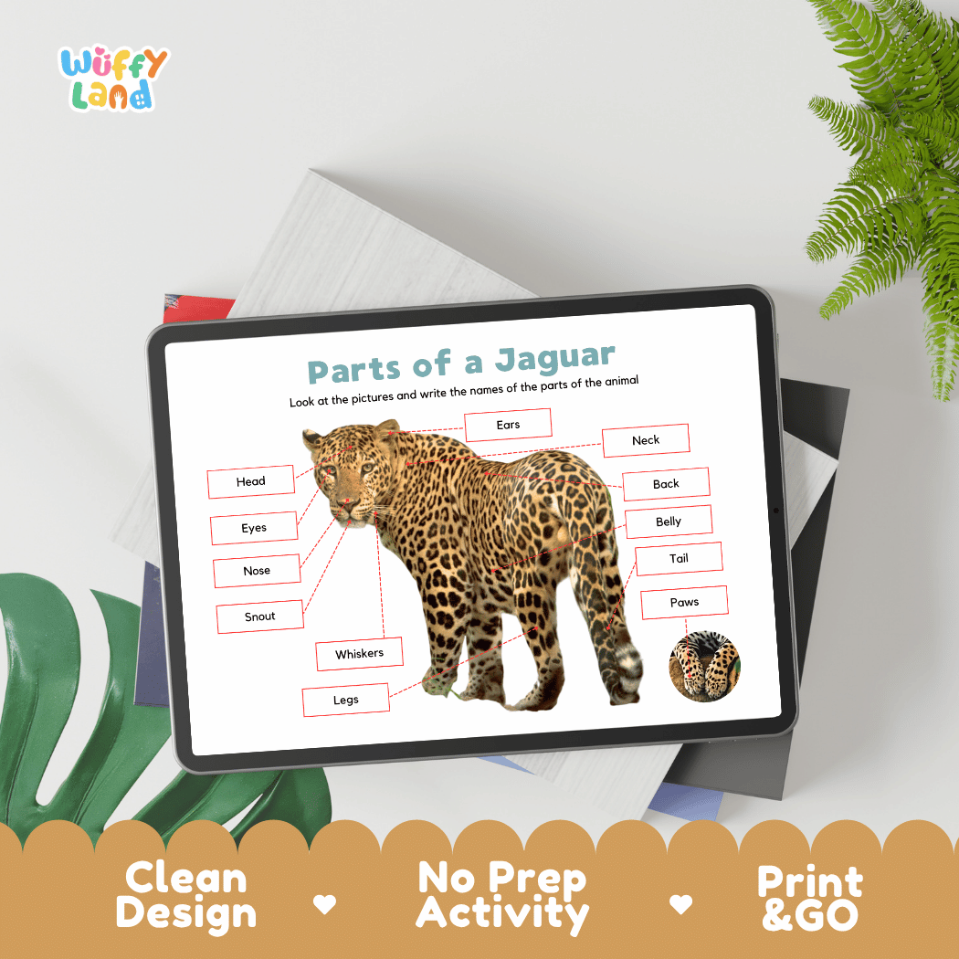 Hands-on jaguar anatomy cut and paste worksheet with printable word tags, callout pointer lines, and scissors graphic