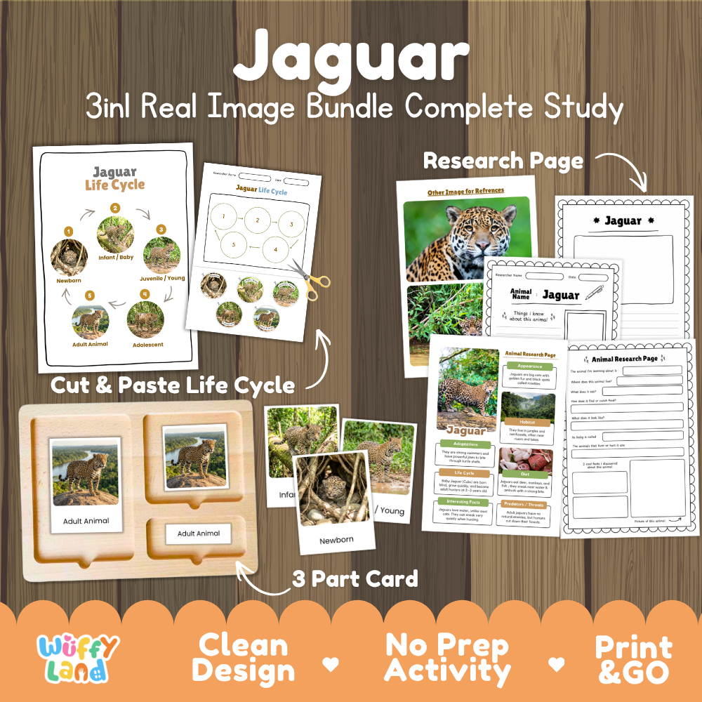 Jaguar 3-in-1 real image bundle complete study cover showing cut and paste life cycle, 3 part cards, and research pages