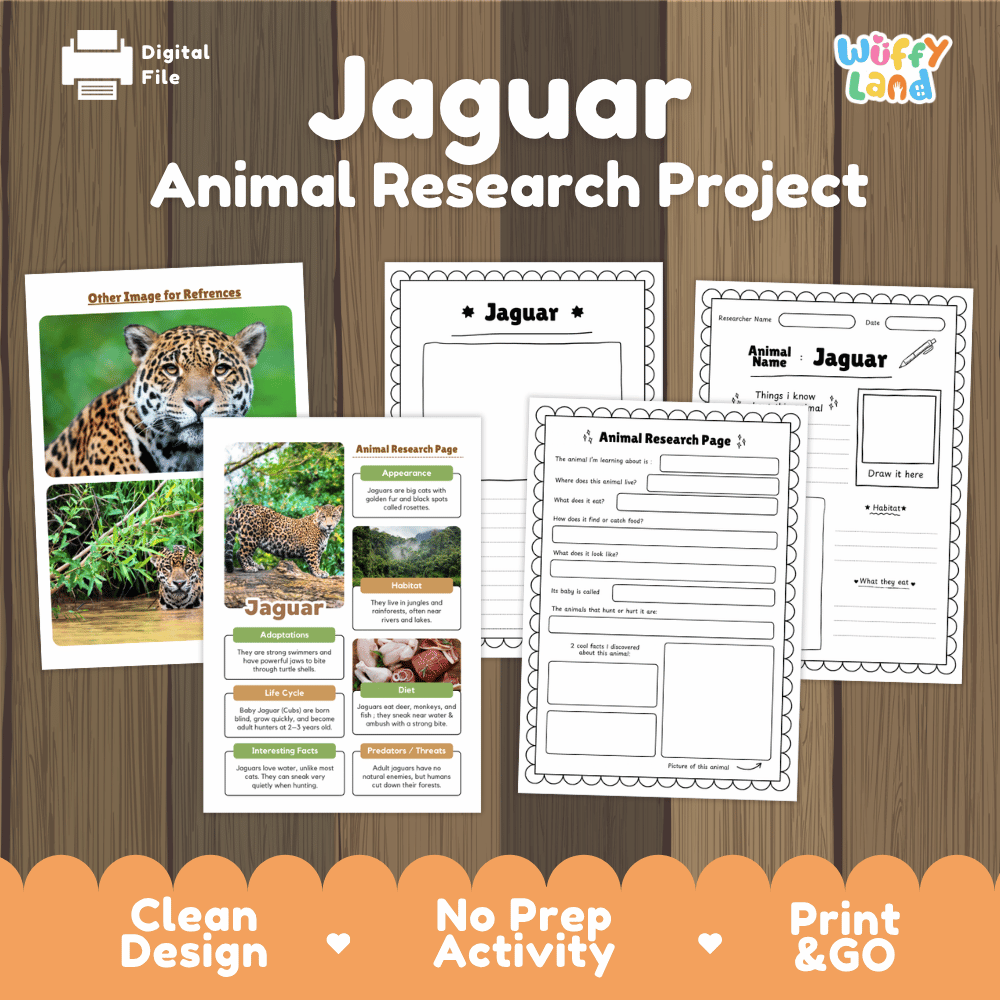 Digital download activity sheet set titled 'Jaguar Animal Research Project' on a wood background, showing printable pages and a cover card with a jaguar photo. Brand logo 'Witty Land' appears in the top right.