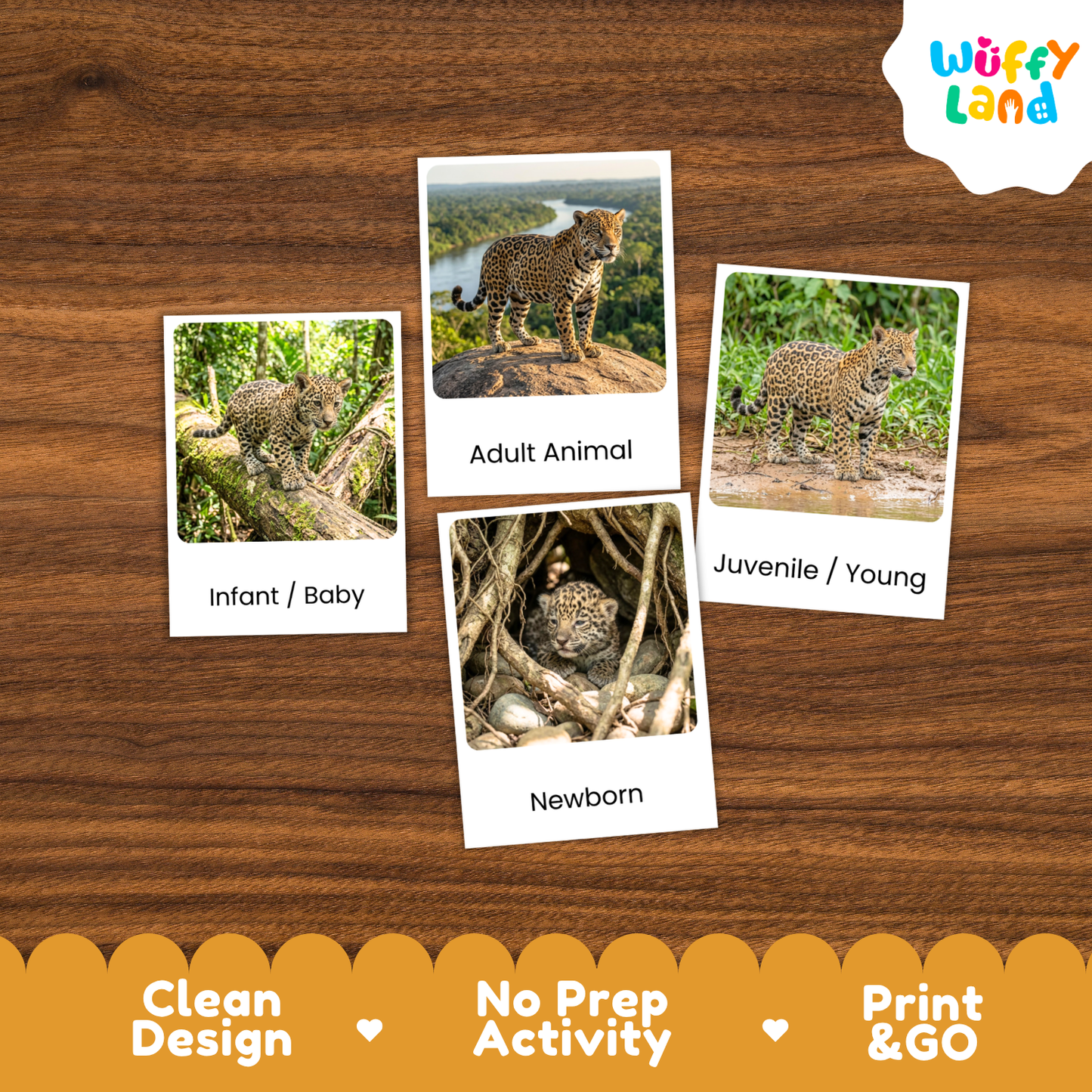 Four educational activity cards for sorting animal photos by age (Infant/Baby, Adult Animal, Juvenile/Young, Newborn) arranged on a brown wood-grain background. The 'Wuffy Land' brand logo is visible in the top right corner.