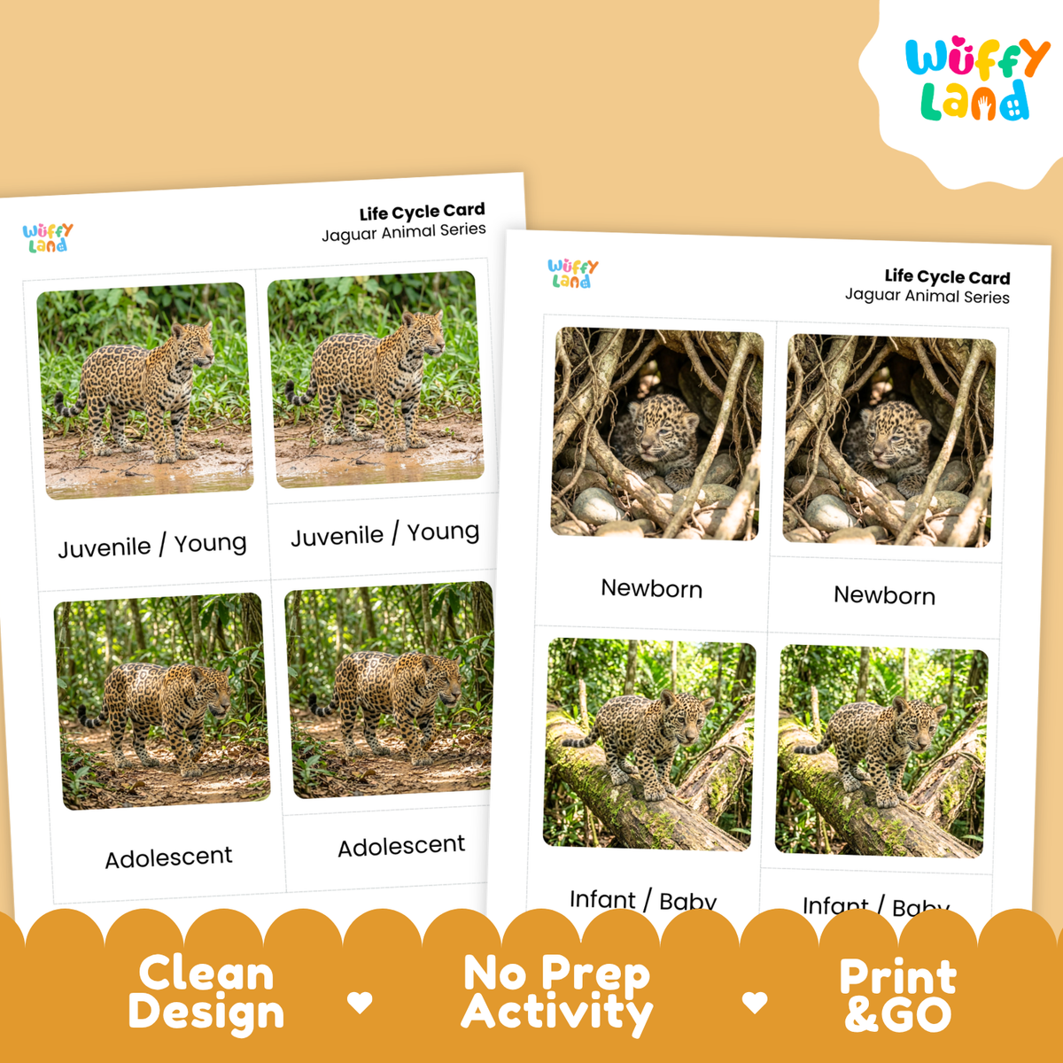 Two printable educational cards titled 'Life Cycle Card Jaguar Animal Series' shown on a beige background with a Wuffy Land logo. The cards feature labeled photos of a leopard/jaguar at juvenile, adolescent, newborn, and infant stages, plus marketing text at the bottom reading 'Clean Design', 'No Prep Activity', and 'Print & GO'.
