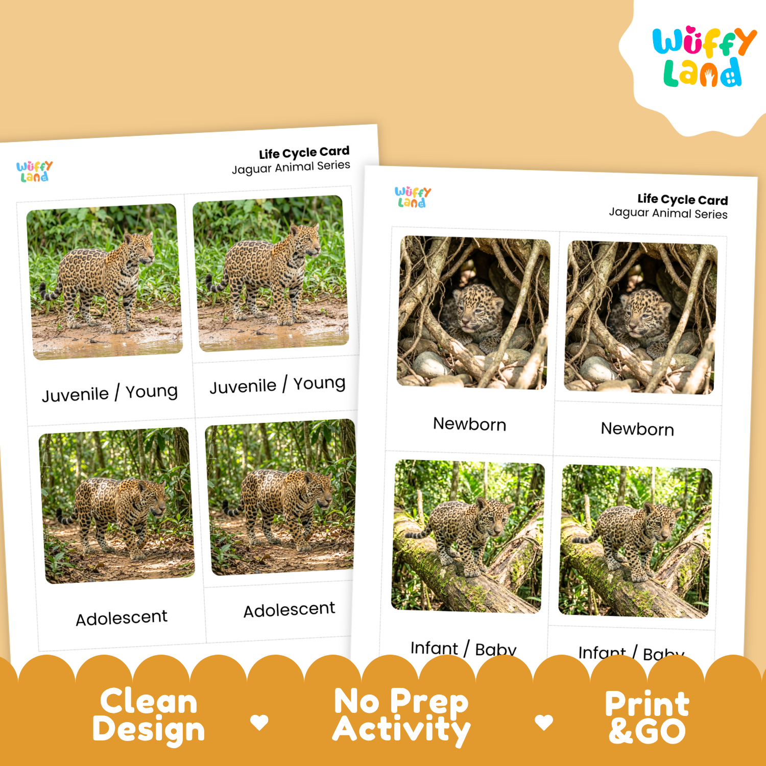 Two printable educational cards titled 'Life Cycle Card Jaguar Animal Series' shown on a beige background with a Wuffy Land logo. The cards feature labeled photos of a leopard/jaguar at juvenile, adolescent, newborn, and infant stages, plus marketing text at the bottom reading 'Clean Design', 'No Prep Activity', and 'Print & GO'.