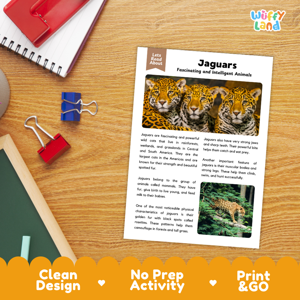 Jaguars Reading Passage and Comprehension Questions Worksheets with Answer Key