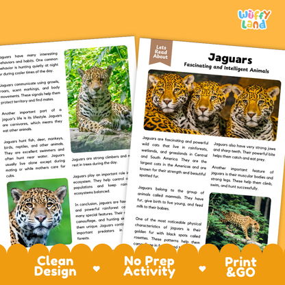 Jaguars Reading Passage and Comprehension Questions Worksheets with Answer Key