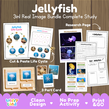 Jellyfish 3-in-1 real image bundle complete study cover showing cut and paste life cycle, 3 part cards, and research pages