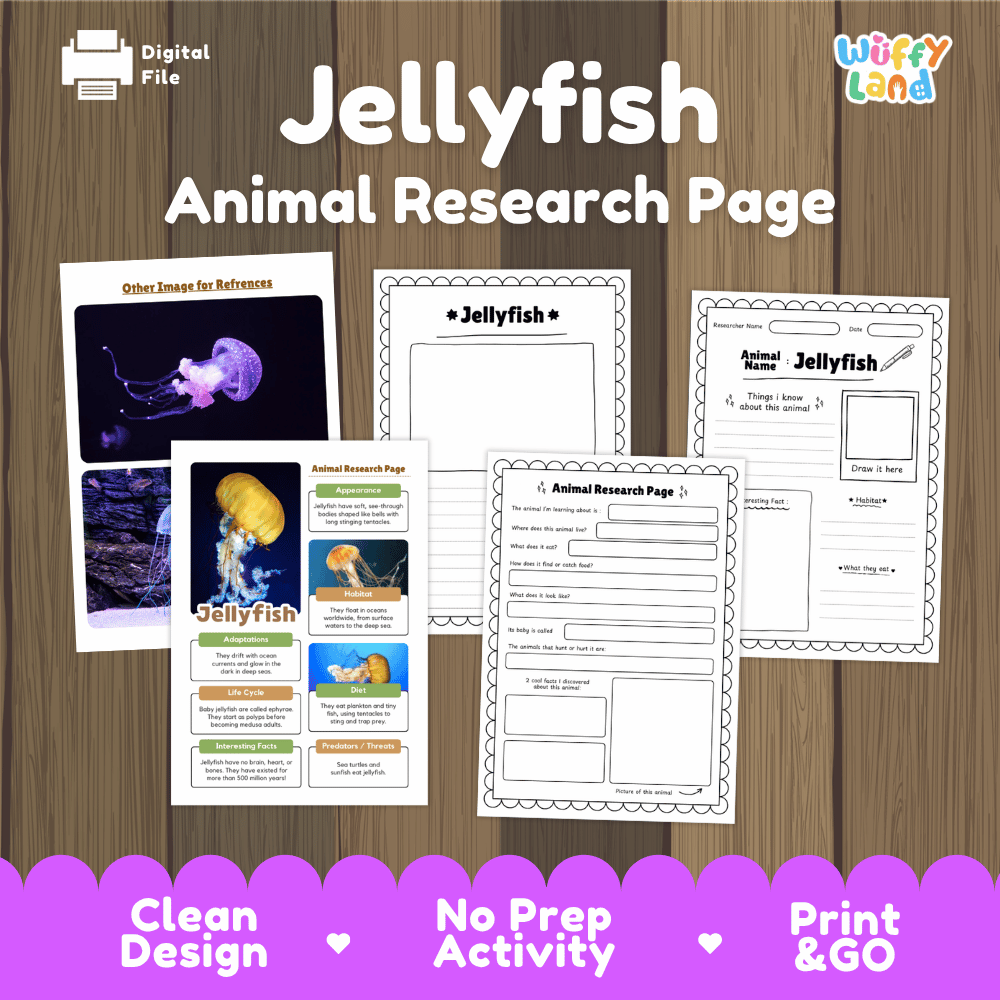 Jellyfish Animal Research Page digital download activity sheet set on a wood background, featuring worksheet pages and a reference card with jellyfish images, branded by Wiffly Land.