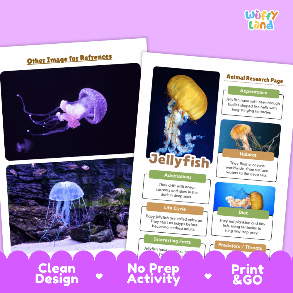 Educational poster and activity sheet set about jellyfish, shown on a pink background with promotional text reading 'Other Image for References,' 'Clean Design,' 'No Prep Activity,' and 'Print & GO.' The sheets include a dark underwater jellyfish photo, a yellow jellyfish illustration, labeled fact boxes, and an animal research page layout.