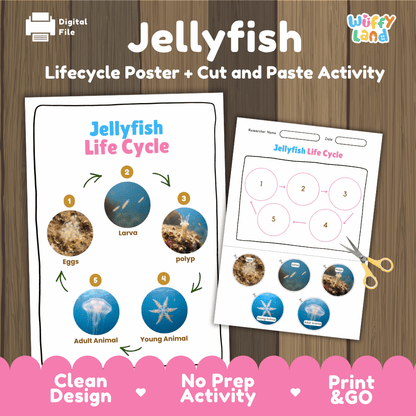 Jellyfish Life Cycle Poster and Cut and Paste Activity Worksheets