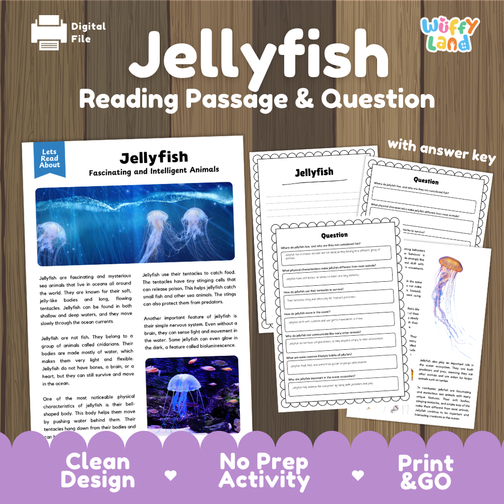 Jellyfish Reading Passage and Comprehension Questions Worksheets