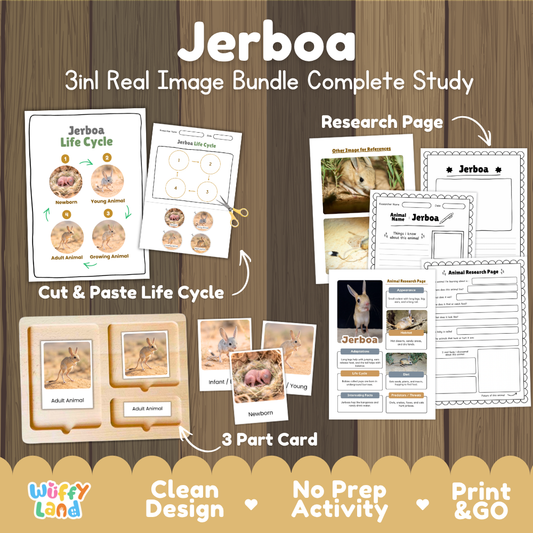 Jerboa 3-in-1 real image bundle complete study cover showing cut and paste life cycle, 3 part cards, and research pages
