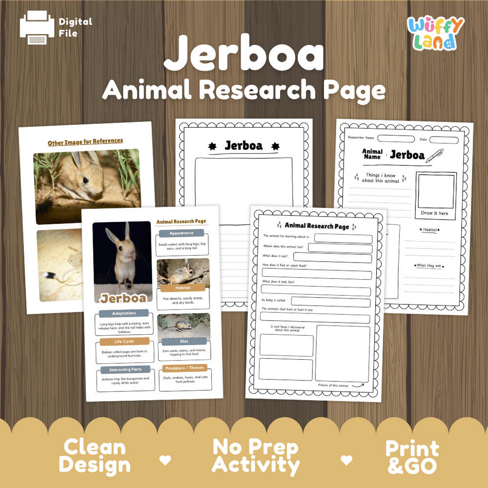 Jerboa Animal Research Page Worksheets and Fact Sheet Activity
