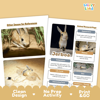Jerboa Animal Research Page Worksheets and Fact Sheet Activity