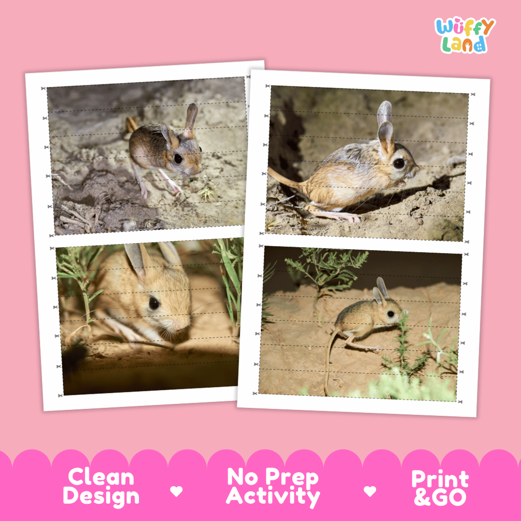 Jerboa Cut and Match Activity Worksheets | Animal Puzzle Printables
