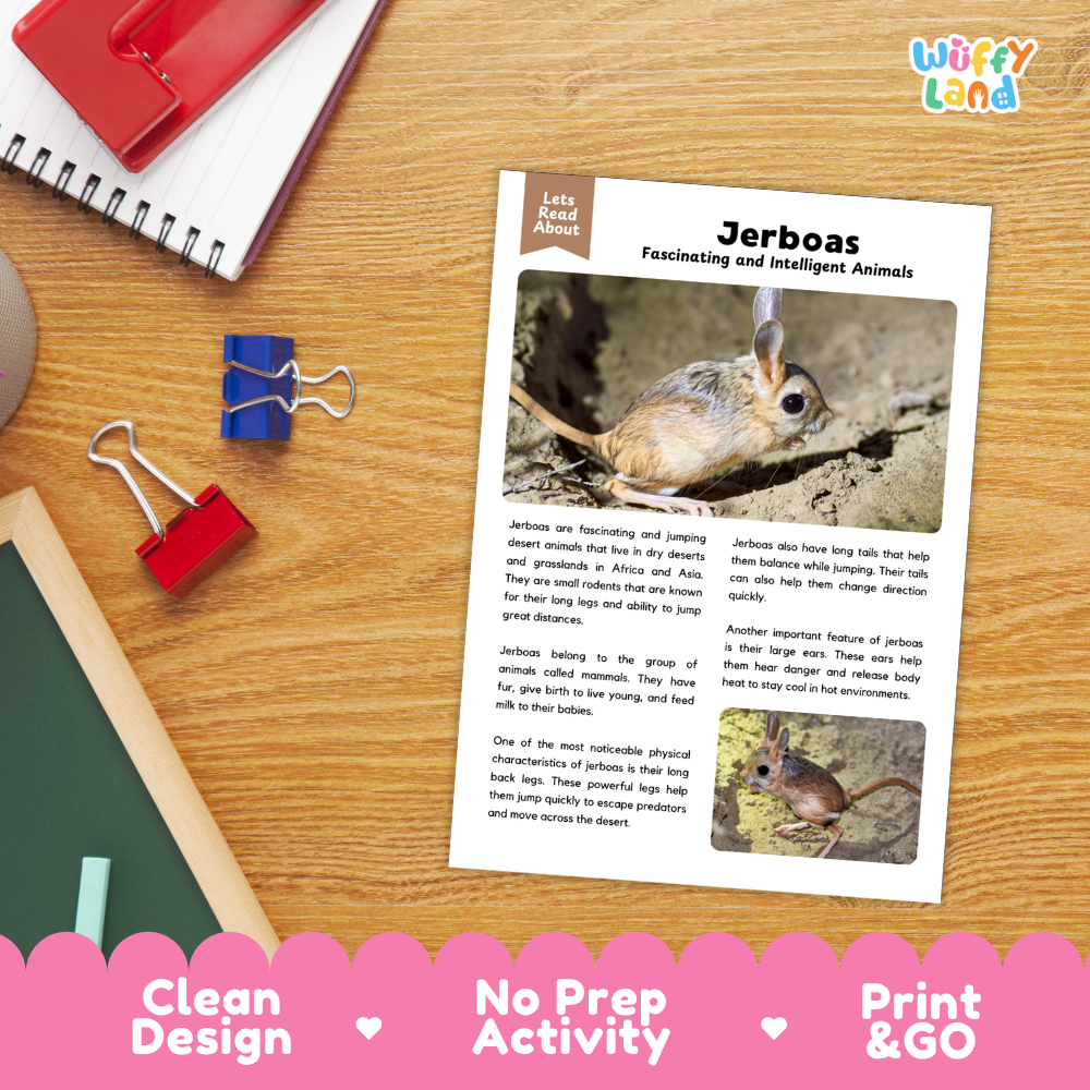 A children's educational activity sheet titled 'Jerboas Fascinating and Intelligent Animals' by Wiffly Land, displayed on a wooden desk with school supplies. The sheet features a photo of a gerboa rabbit and text about these animals.