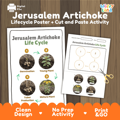 Jerusalem artichoke sunchoke plant life cycle educational printable pack cover showing visual reference poster and cut and paste sequencing worksheet with real photography