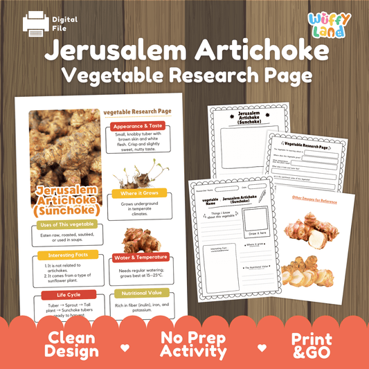 Student vegetable research page writing worksheets with real knobby sunchoke tuber photos, lined note-taking prompts, and drawing frames