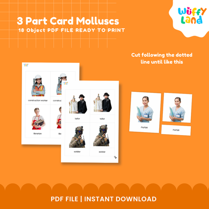 Jobs and occupations matching cards for preschool with realistic worker pictures and separate profession labels for vocabulary practice