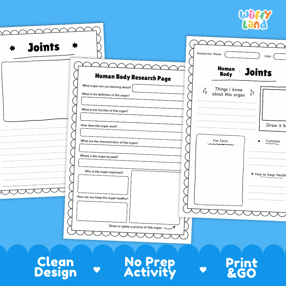 Joints Human Body Research Page Worksheets Anatomy Science Activity