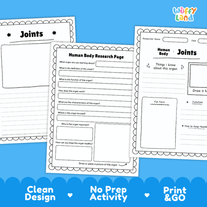 Joints Human Body Research Page Worksheets Anatomy Science Activity