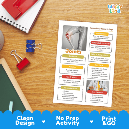 Joints Human Body Research Page Worksheets Anatomy Science Activity