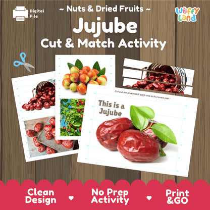 Jujube Cut and Match Activity Worksheets | Nuts and Dried Fruits Puzzle Printables