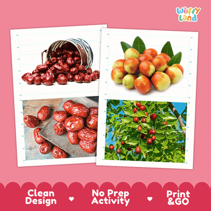 Jujube Cut and Match Activity Worksheets | Nuts and Dried Fruits Puzzle Printables