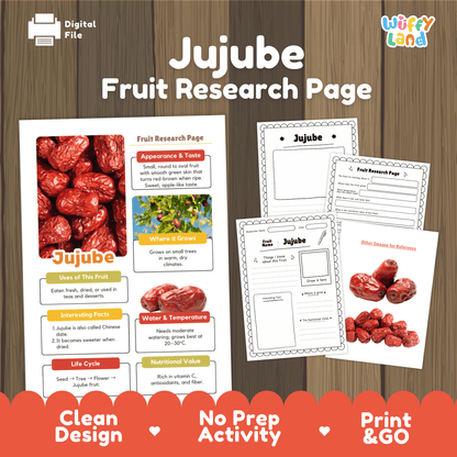 Jujube Fruit Research Project Science Worksheet Fact Sheet Activity
