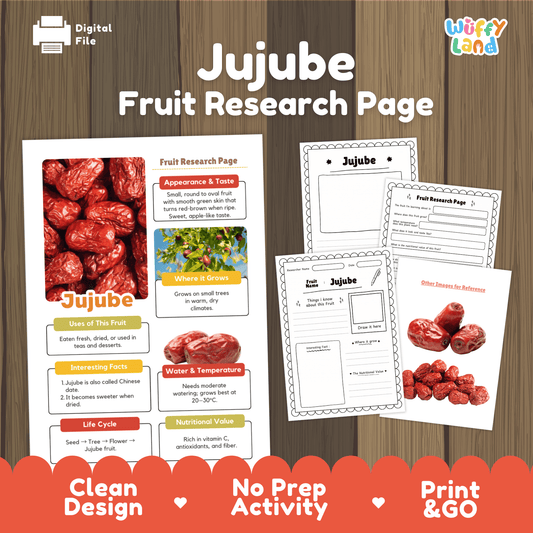 Jujube Fruit Research Project Science Worksheet Fact Sheet Activity