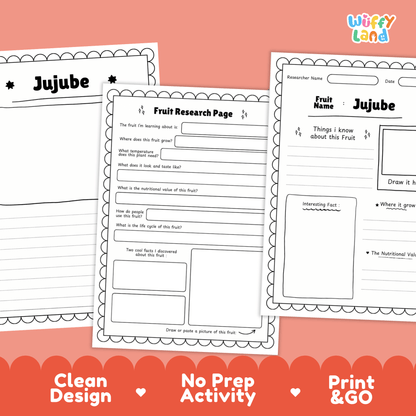 Jujube Fruit Research Project Science Worksheet Fact Sheet Activity