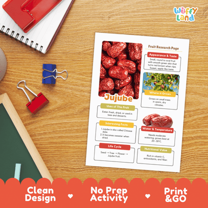 Jujube Fruit Research Project Science Worksheet Fact Sheet Activity