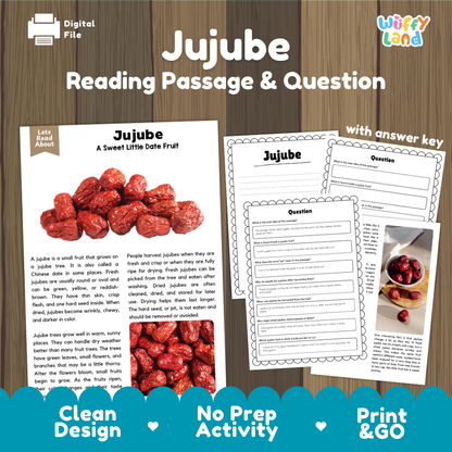 Jujube reading passage and worksheet activity sheet set by Wiffly Land, featuring a printed article about jujube fruit and several corresponding reading comprehension worksheets, shown on a wood-textured background with promotional text at the bottom.
